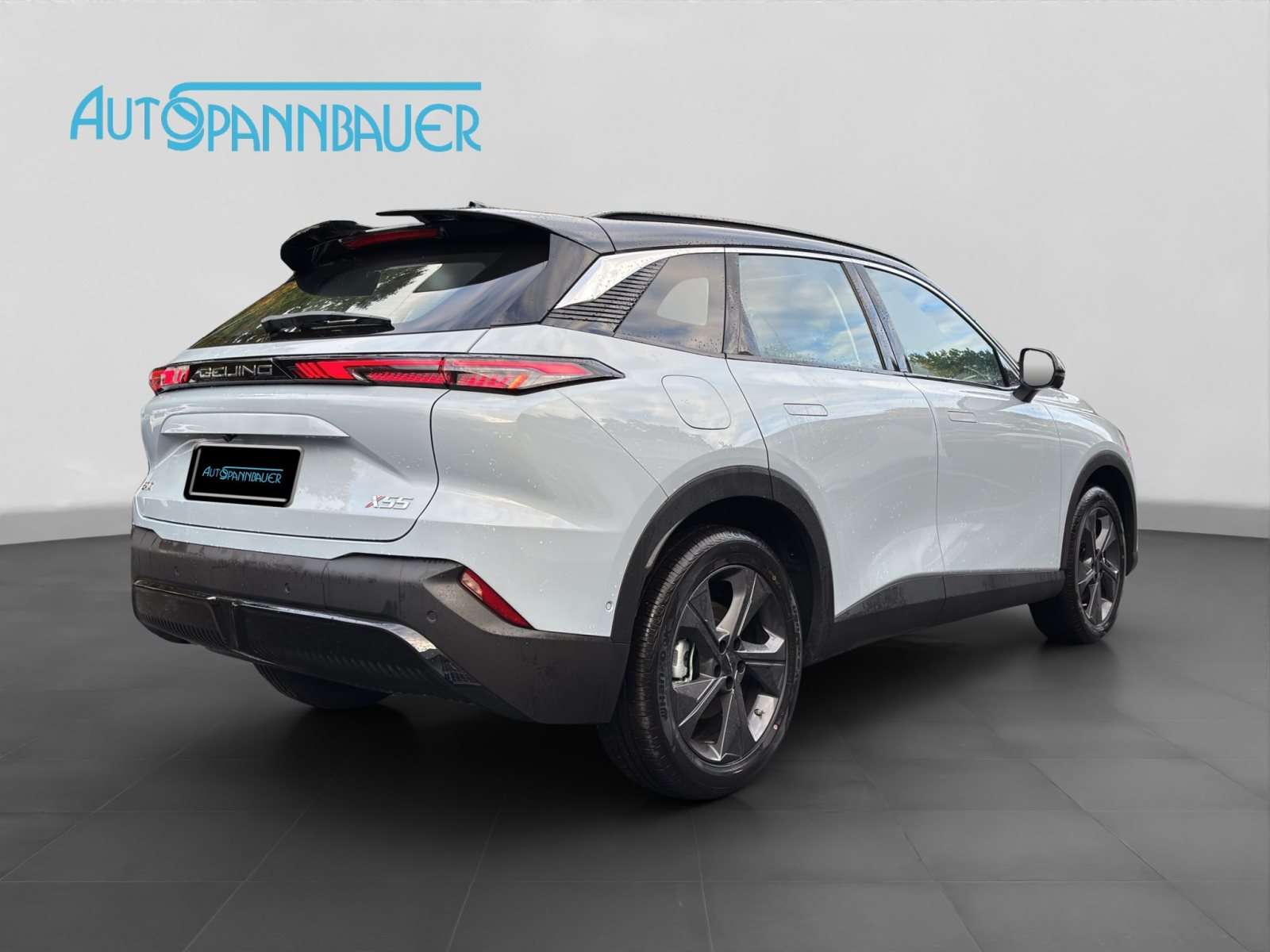 Fahrzeugbild eines BAIC X55