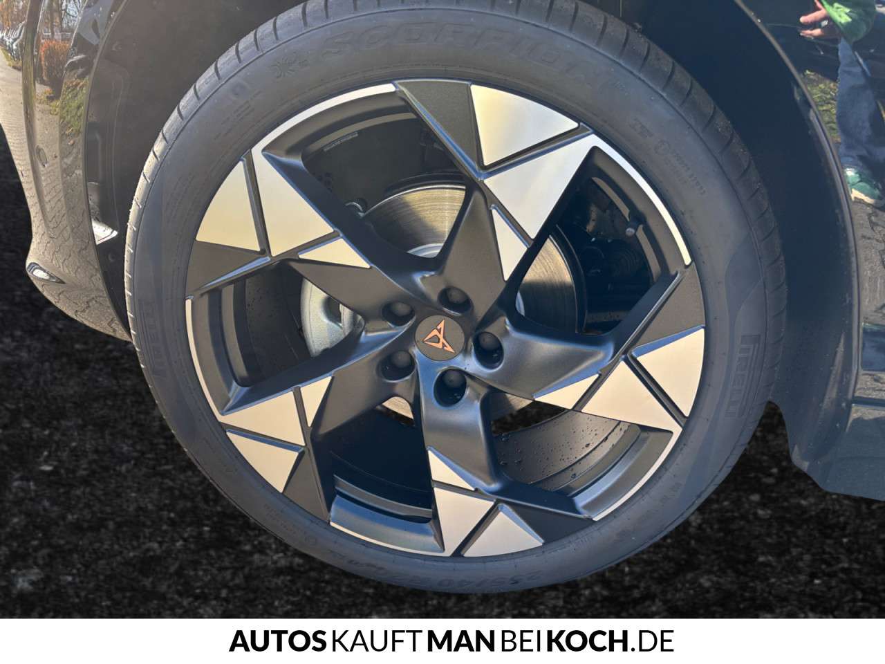 Fahrzeugbild eines CUPRA Terramar