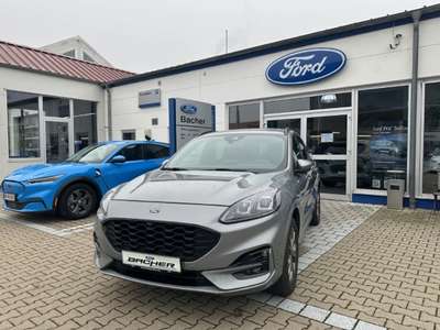 Bild Ford Kuga