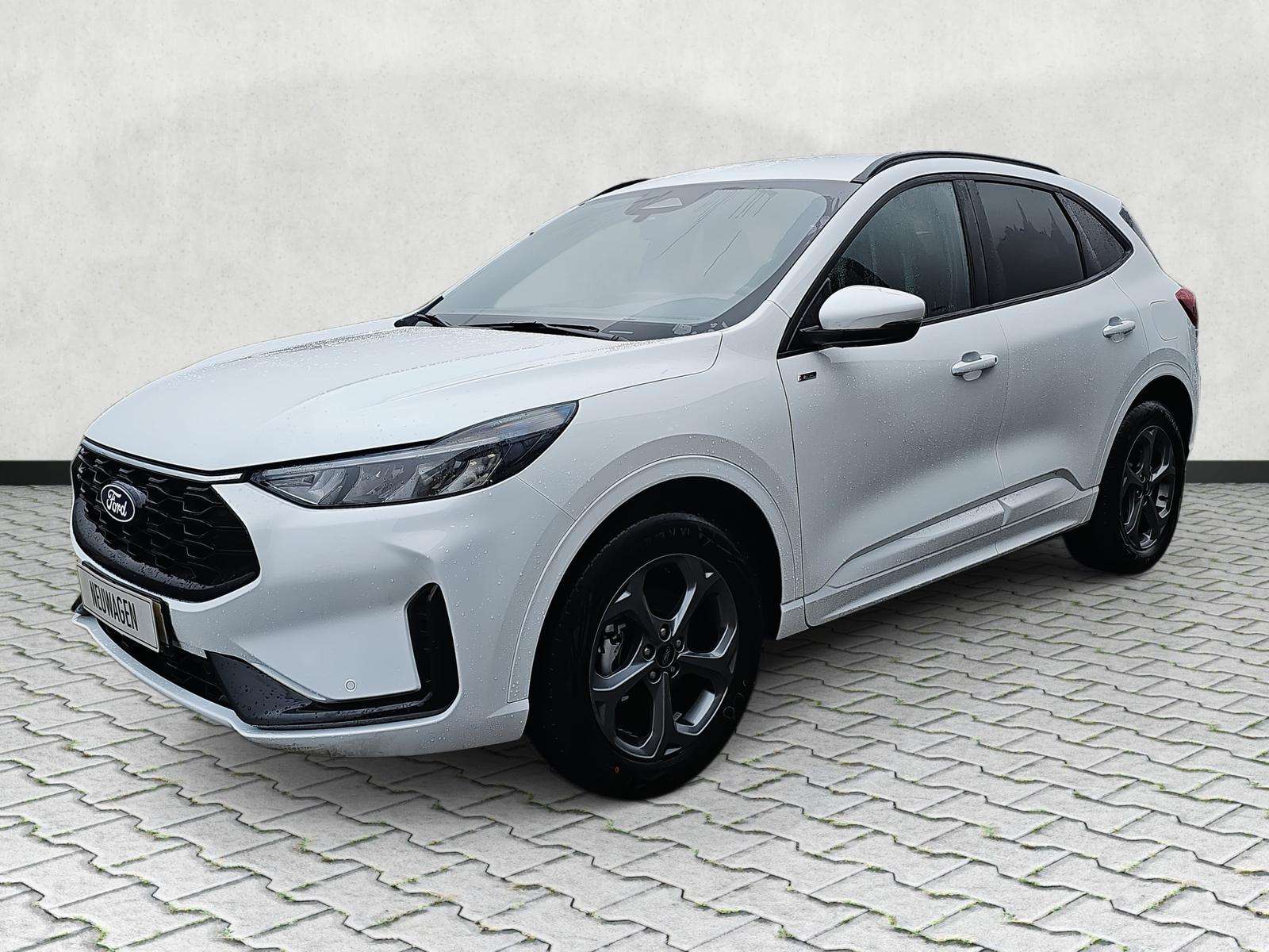 Fahrzeugbild eines Ford Kuga