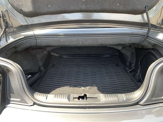 Fahrzeugbild eines Ford Mustang