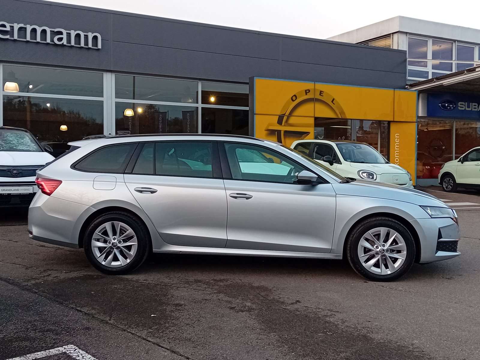 Fahrzeugbild eines Skoda Octavia