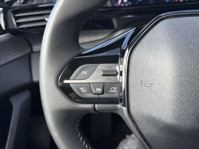 Fahrzeugbild eines Peugeot 308