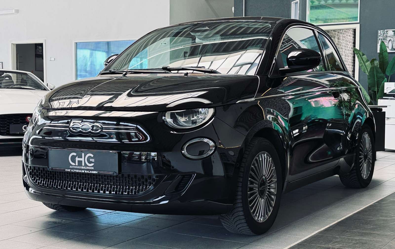 Fahrzeugbild eines Fiat 500
