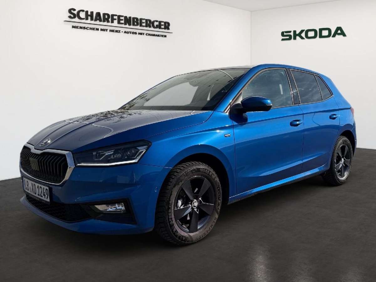 Fahrzeugbild eines Skoda Fabia