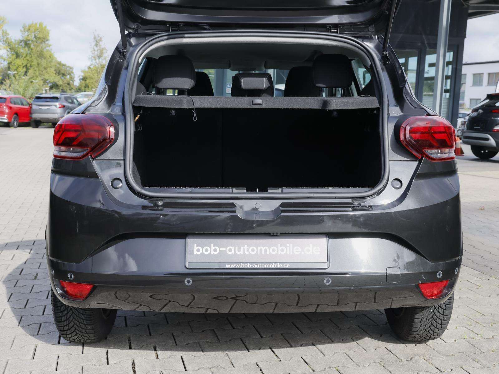 Fahrzeugbild eines Dacia Sandero