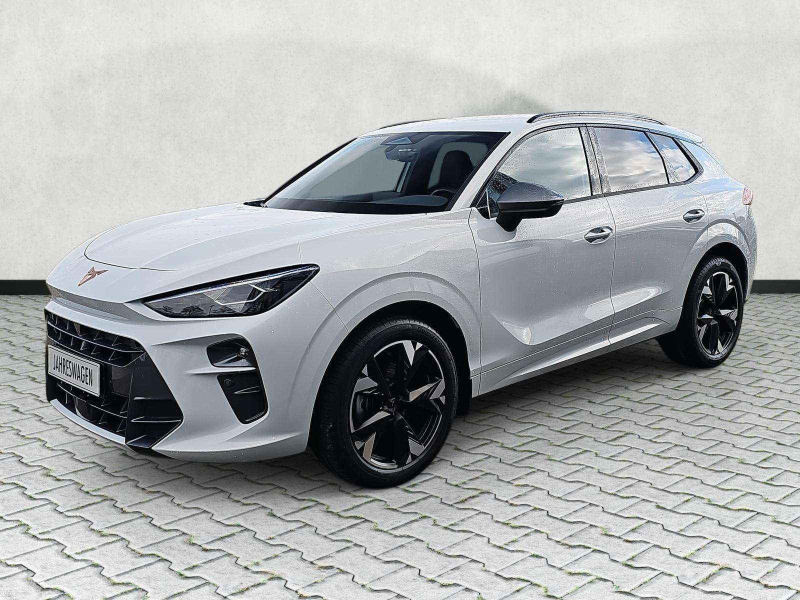 Fahrzeugbild eines CUPRA Terramar