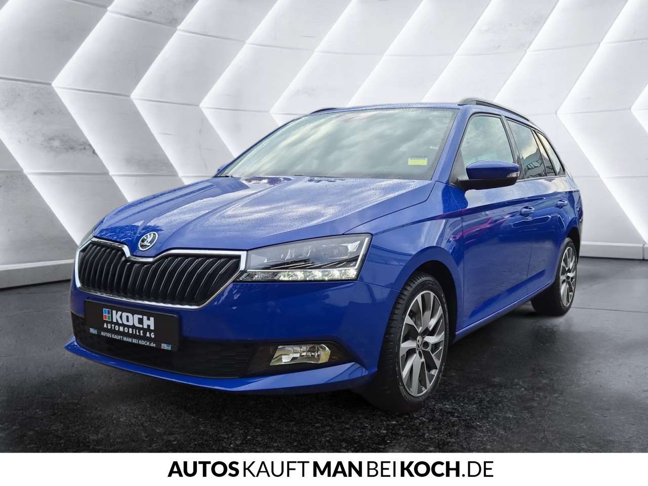 Fahrzeugbild eines Skoda Fabia