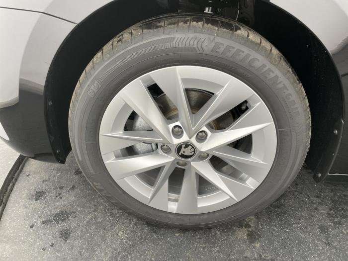 Fahrzeugbild eines Skoda Octavia
