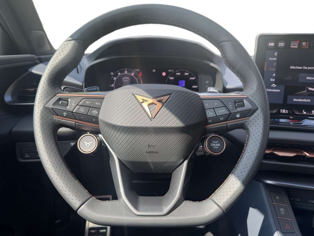 Fahrzeugbild eines CUPRA Terramar