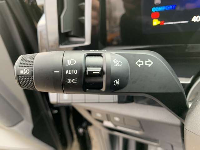 Fahrzeugbild eines Renault Austral