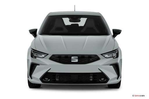 Fahrzeugbild eines SEAT Ibiza