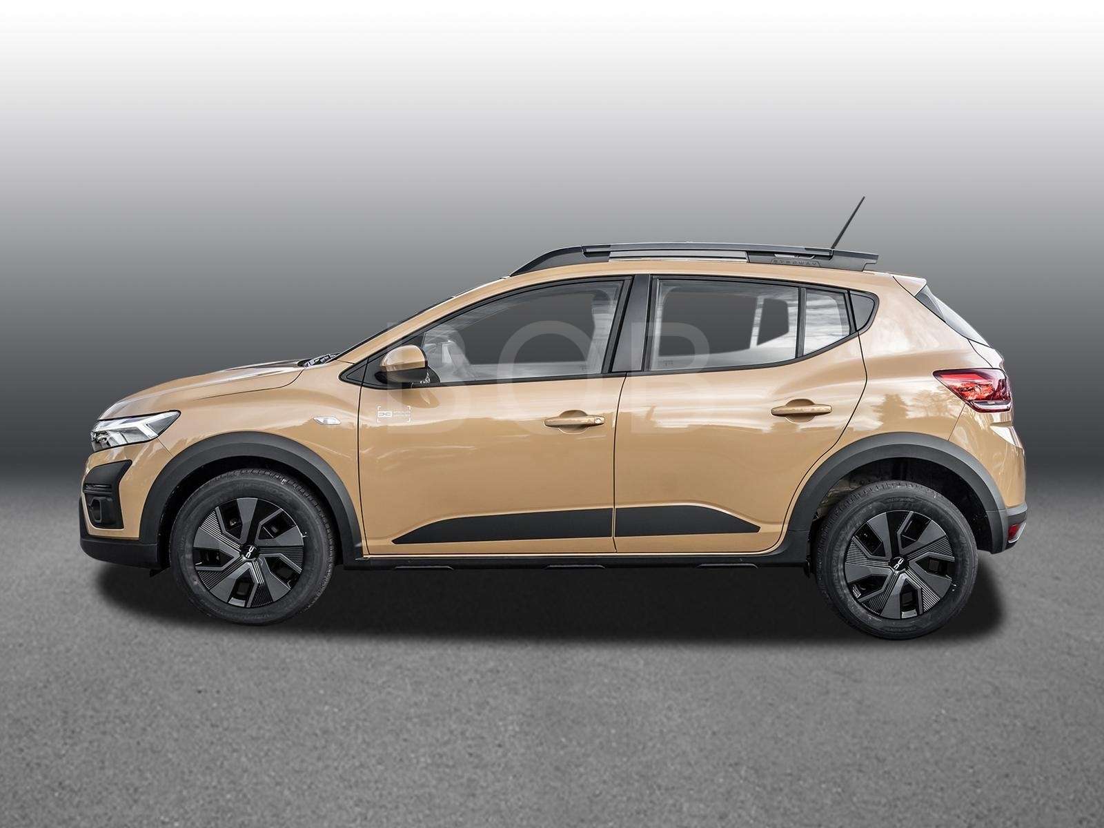 Fahrzeugbild eines Dacia Sandero