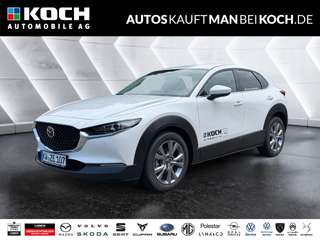 Schräge Frontansicht auf einen Mazda CX-30 , freigestellt