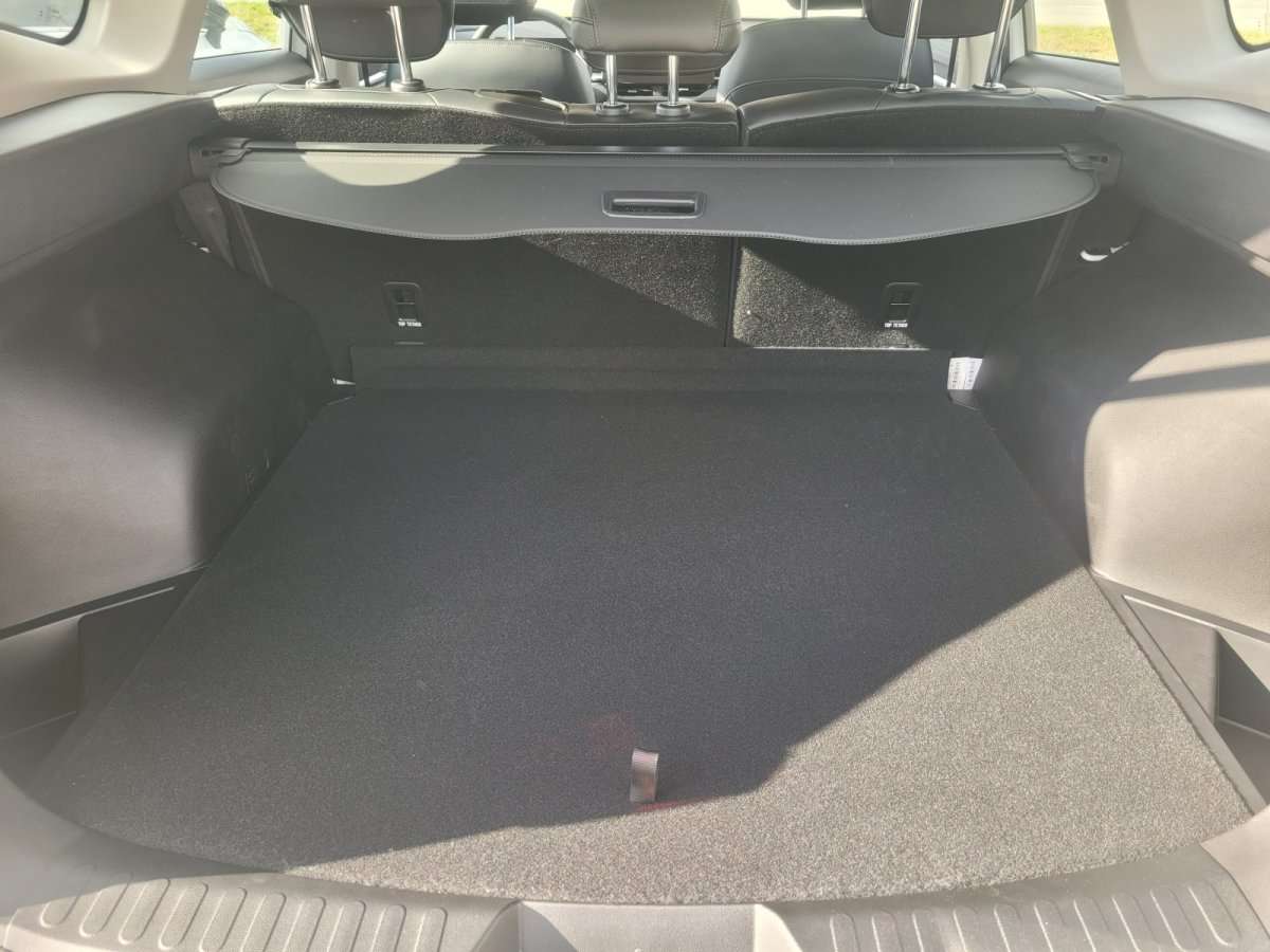 Fahrzeugbild eines GWM Haval H6