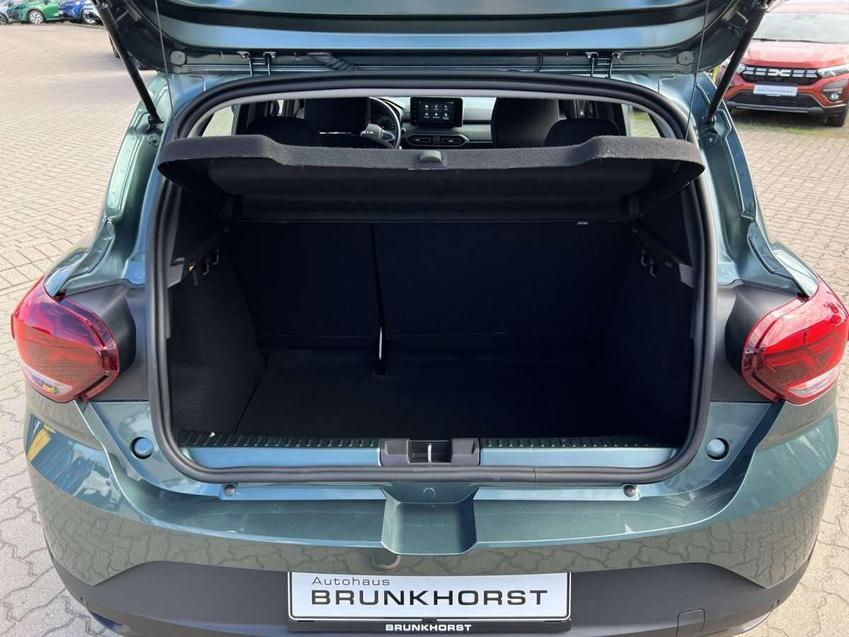 Fahrzeugbild eines Dacia Sandero