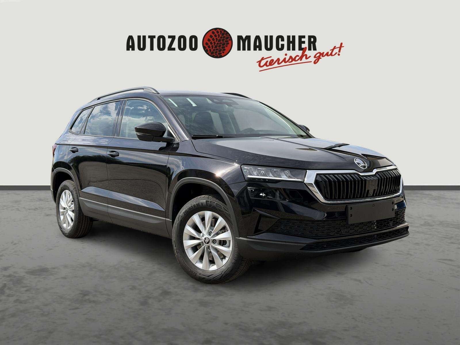 Fahrzeugbild eines Skoda Karoq