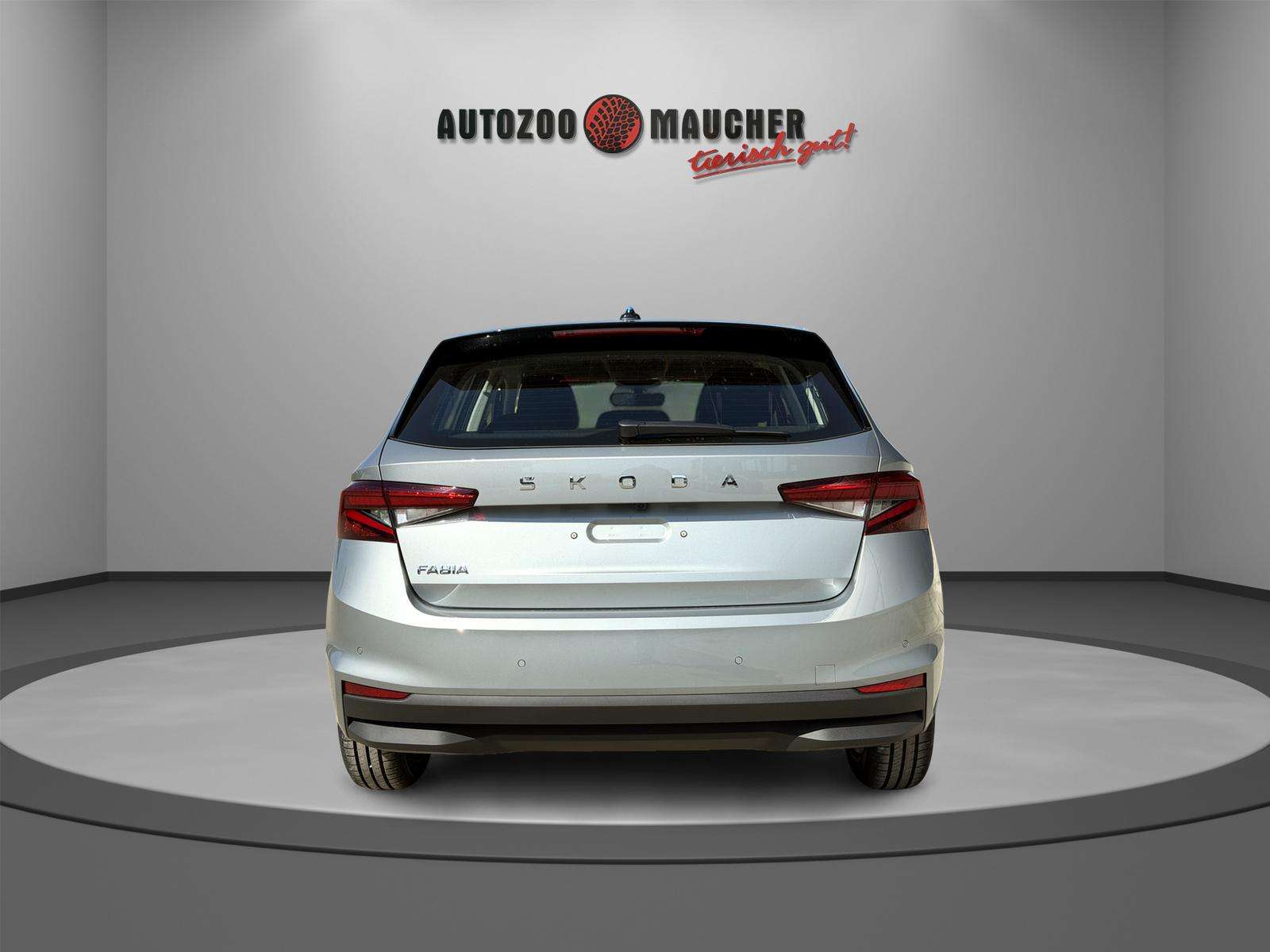 Fahrzeugbild eines Skoda Fabia