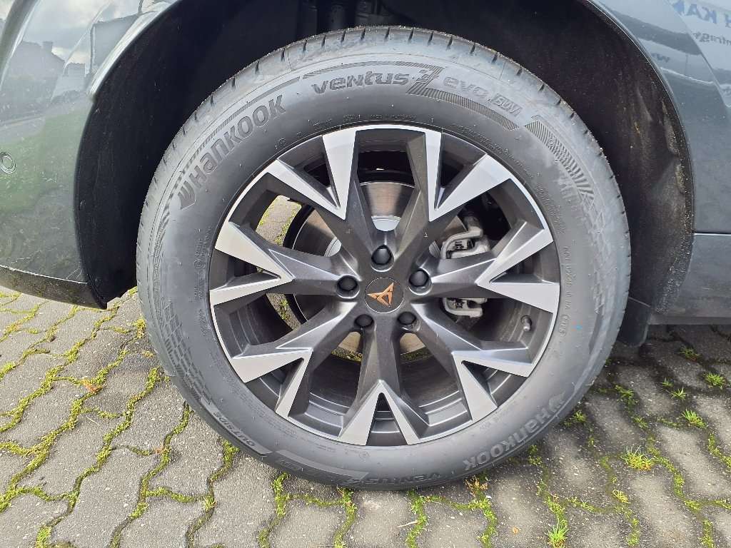 Fahrzeugbild eines CUPRA Terramar