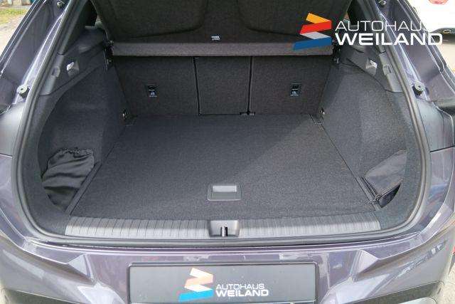 Fahrzeugbild eines CUPRA Terramar