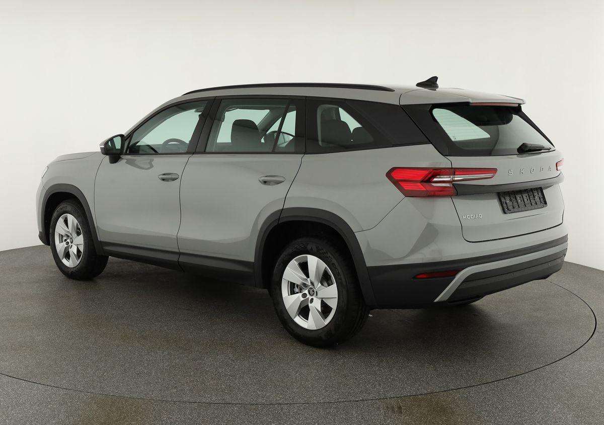 Fahrzeugbild eines Skoda Kodiaq