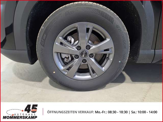 Fahrzeugbild eines BYD Atto 2