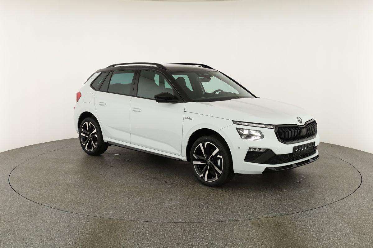 Fahrzeugbild eines Skoda Kamiq