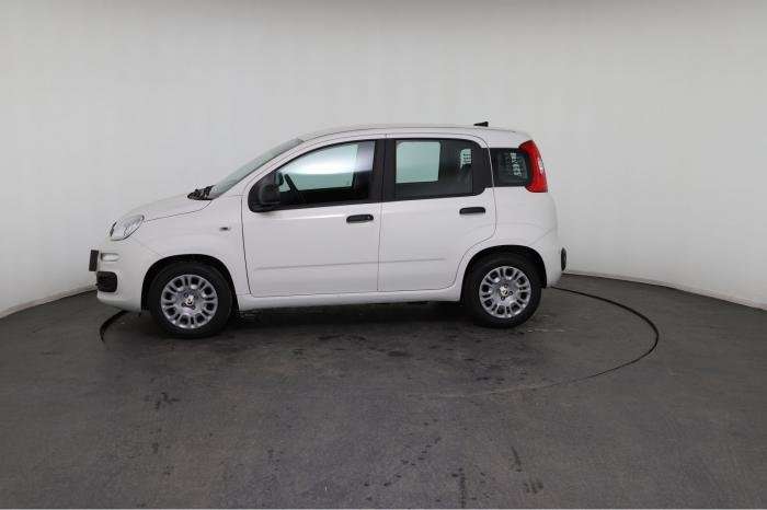 Fahrzeugbild eines Fiat Panda