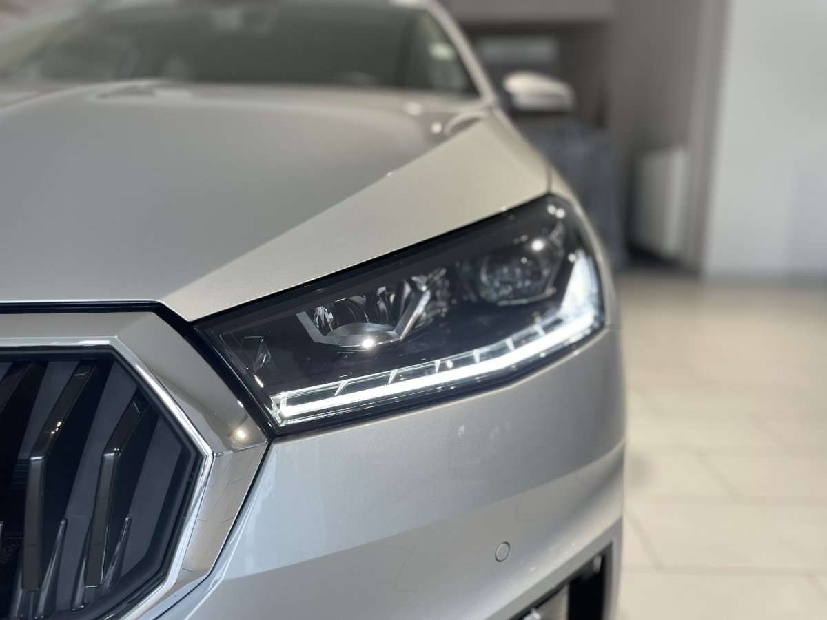 Fahrzeugbild eines Skoda Fabia