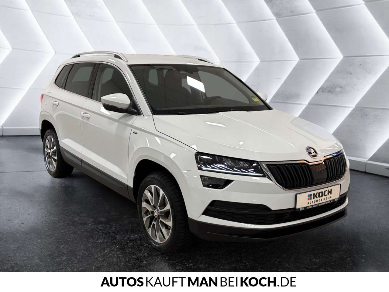 Fahrzeugbild eines Skoda Karoq