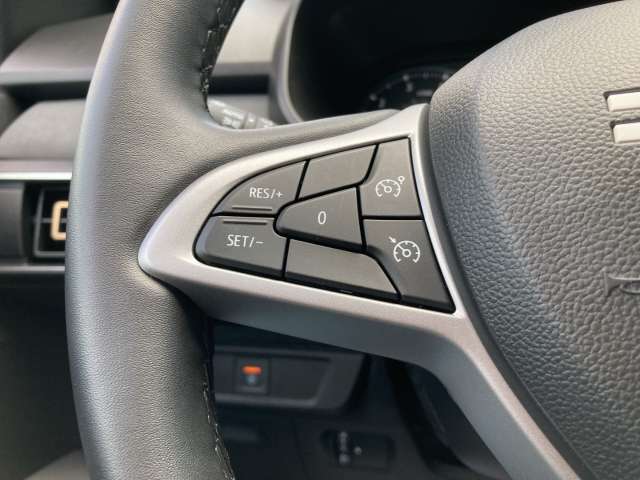 Fahrzeugbild eines Dacia Jogger