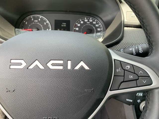 Fahrzeugbild eines Dacia Sandero