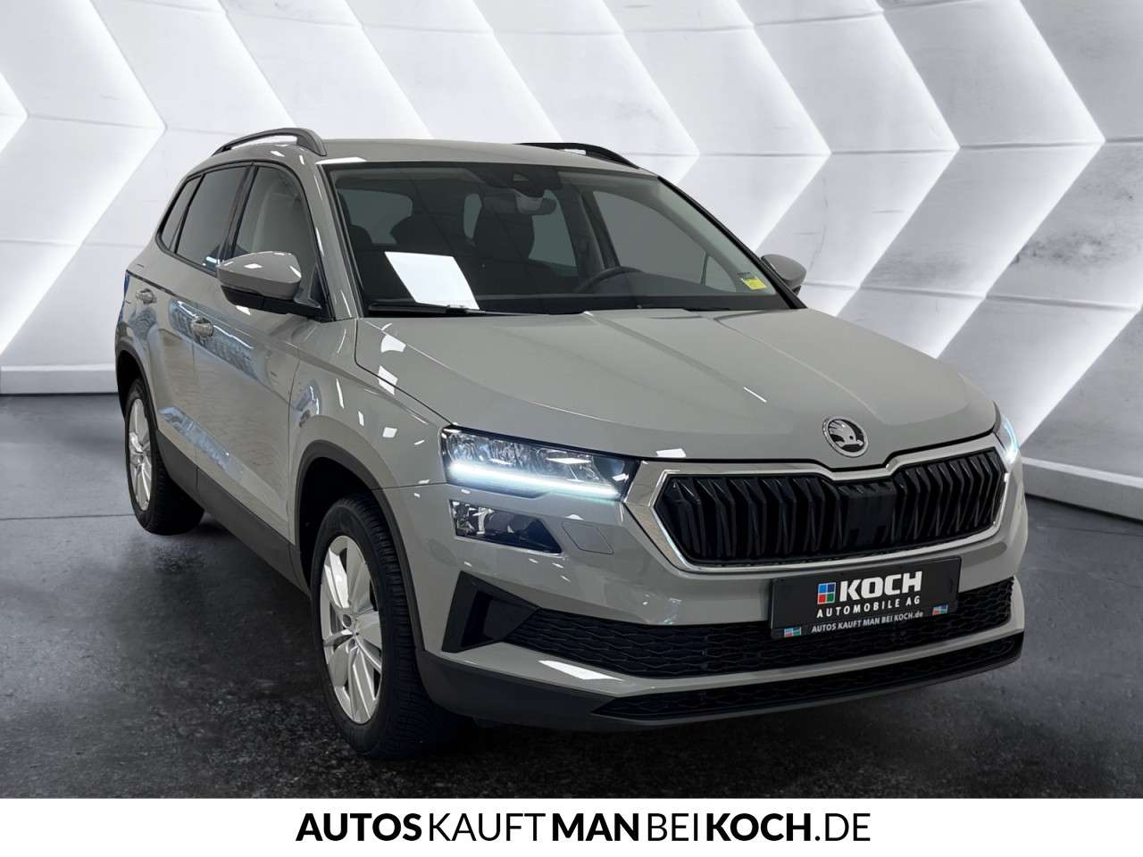 Fahrzeugbild eines Skoda Karoq