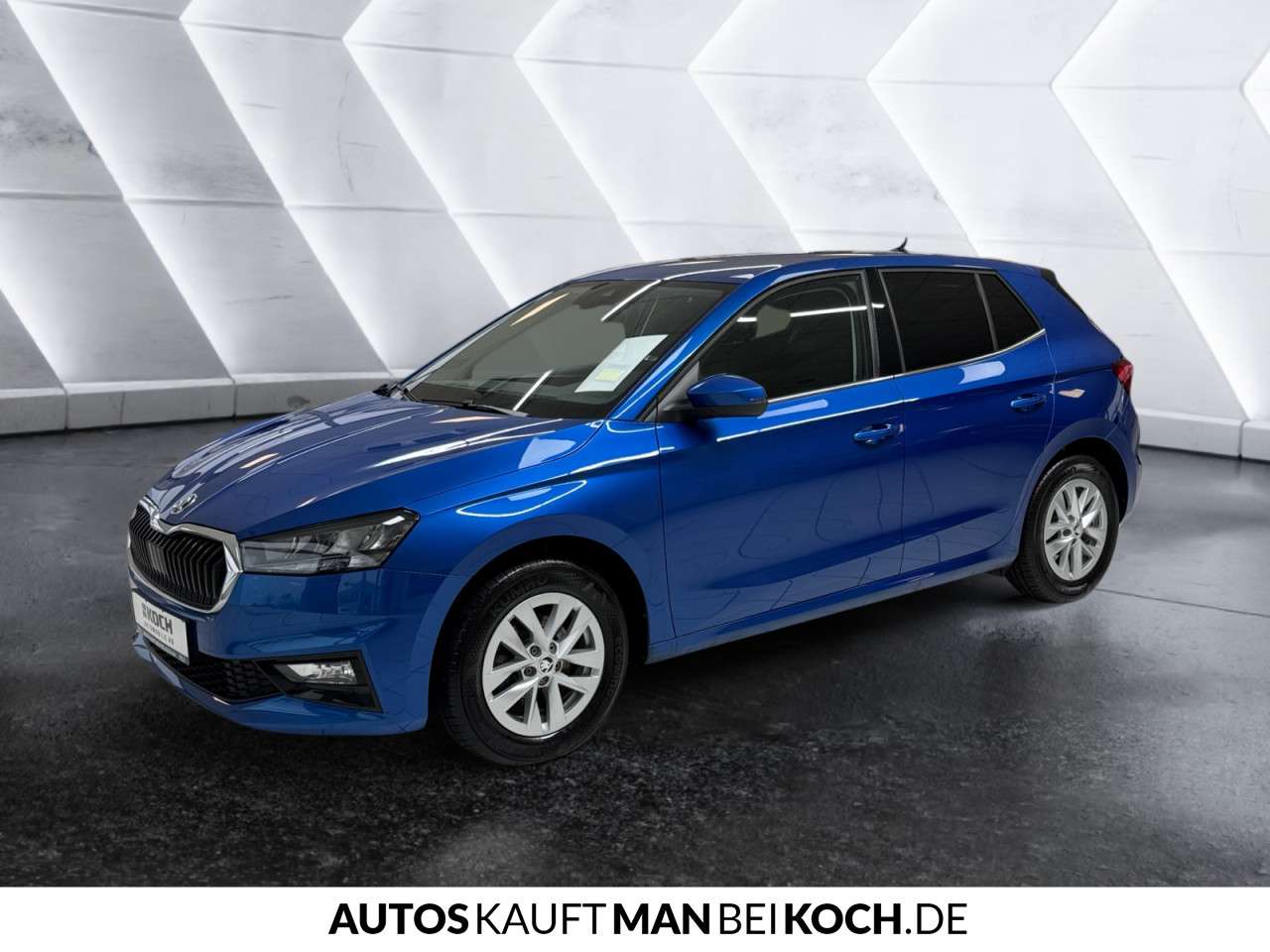 Fahrzeugbild eines Skoda Fabia