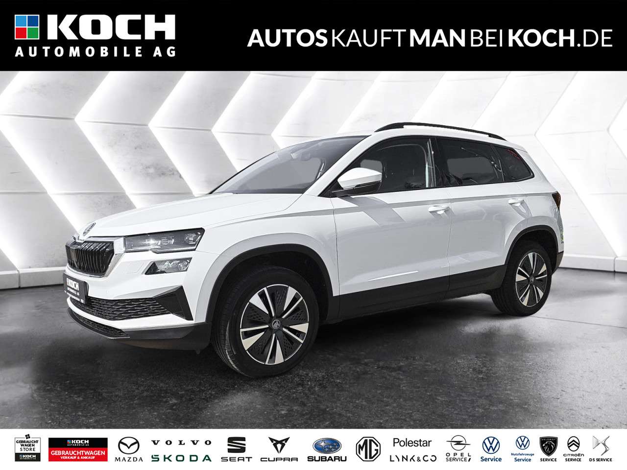 Fahrzeugbild eines Skoda Karoq