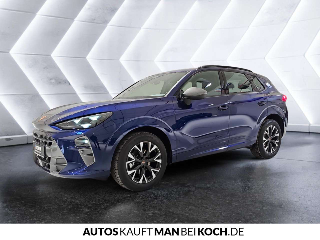 Fahrzeugbild eines CUPRA Terramar