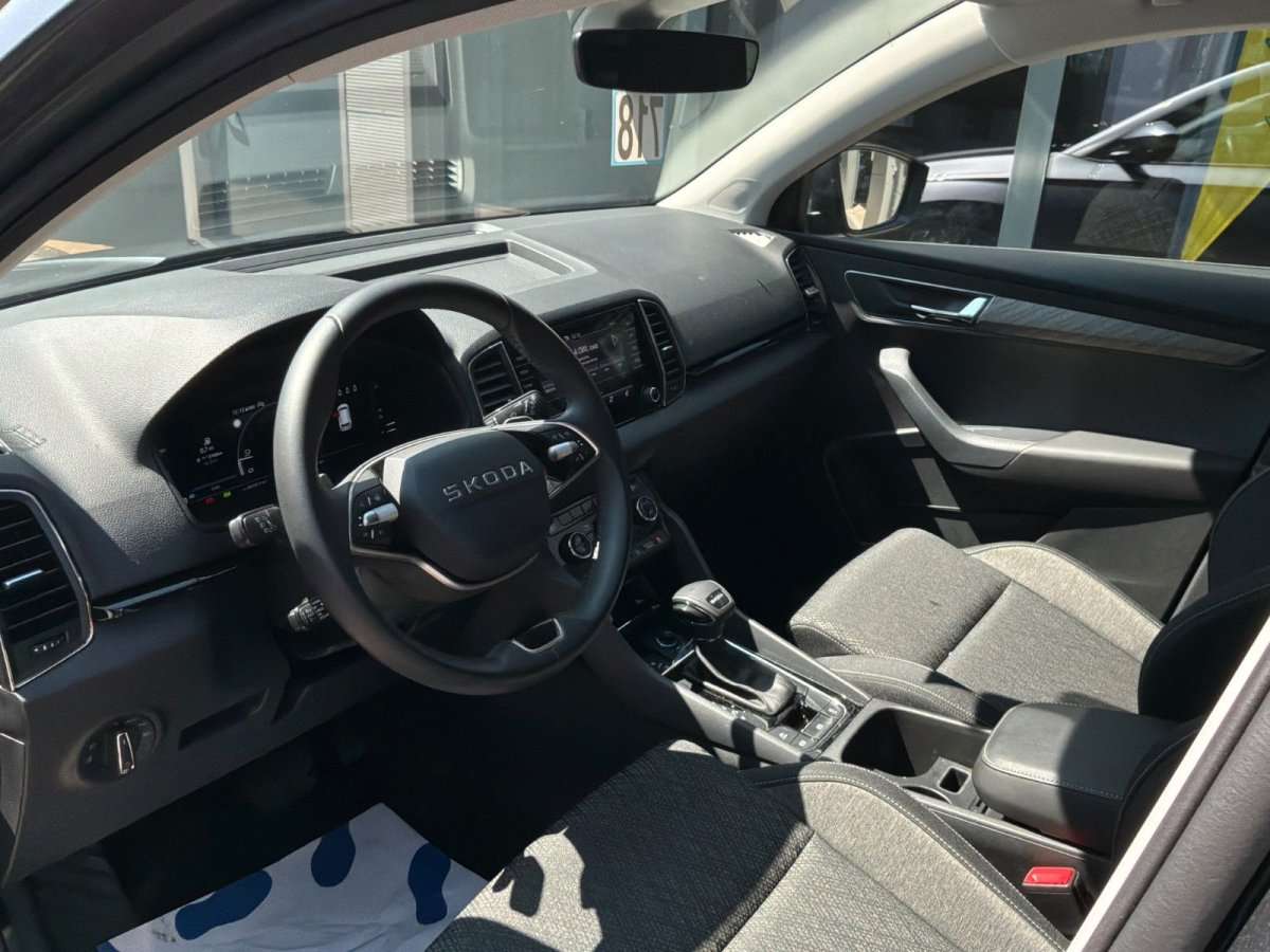 Fahrzeugbild eines Skoda Karoq