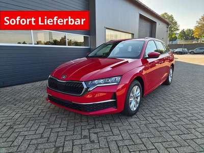 Bild Skoda Octavia