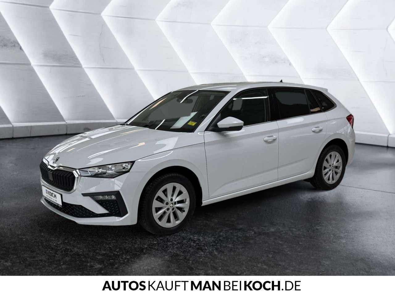 Fahrzeugbild eines Skoda Scala