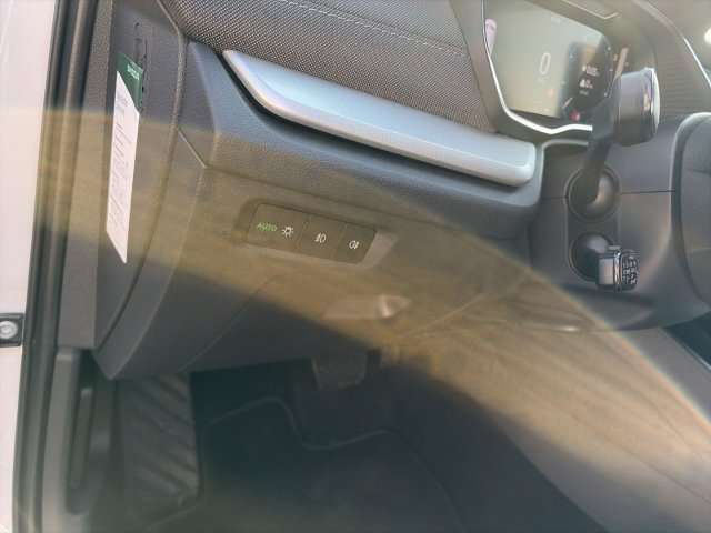 Fahrzeugbild eines Skoda Octavia