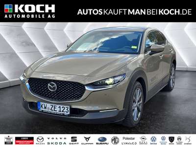 Bild Mazda CX-30