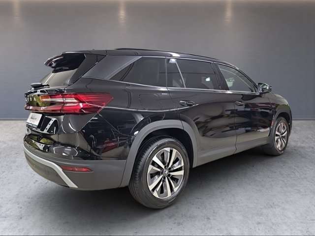 Fahrzeugbild eines Skoda Kodiaq