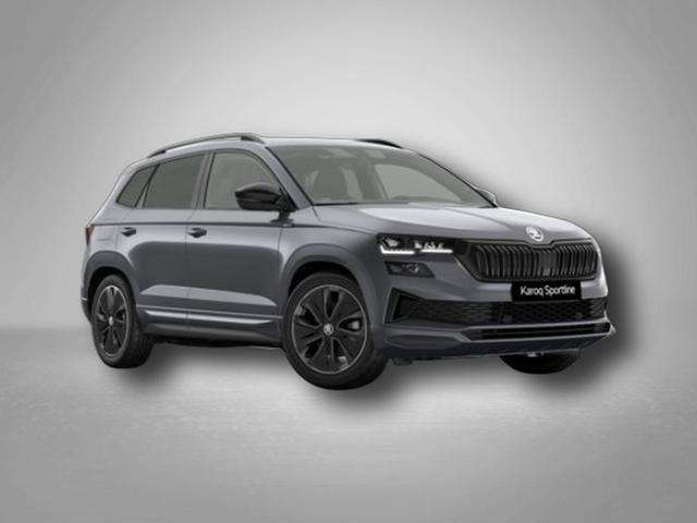 Fahrzeugbild eines Skoda Karoq