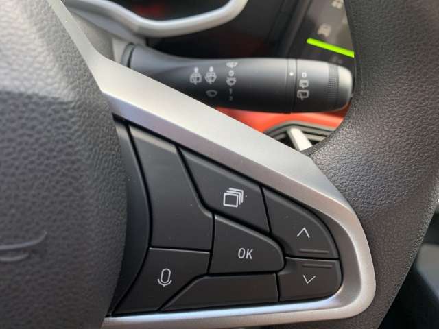 Fahrzeugbild eines Dacia Spring