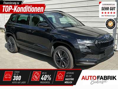 Bild Skoda Karoq
