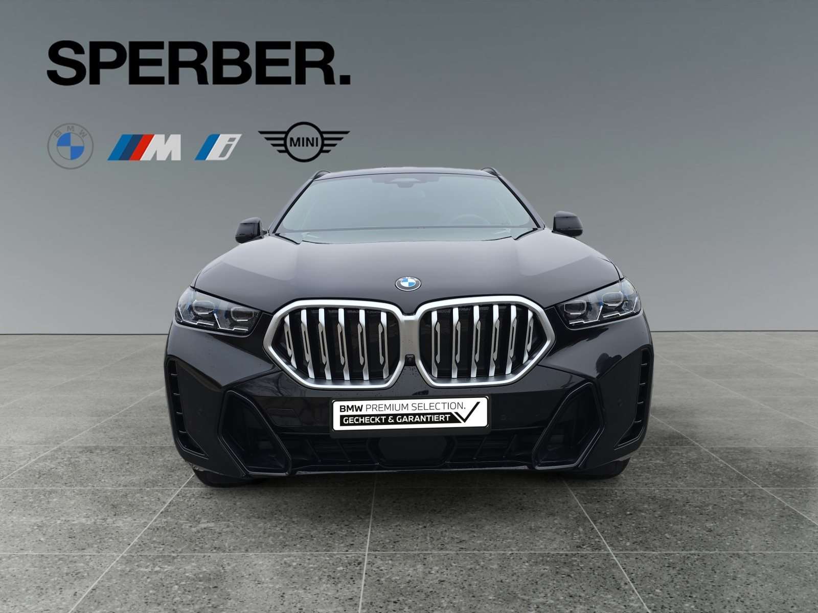 Fahrzeugbild eines BMW X6