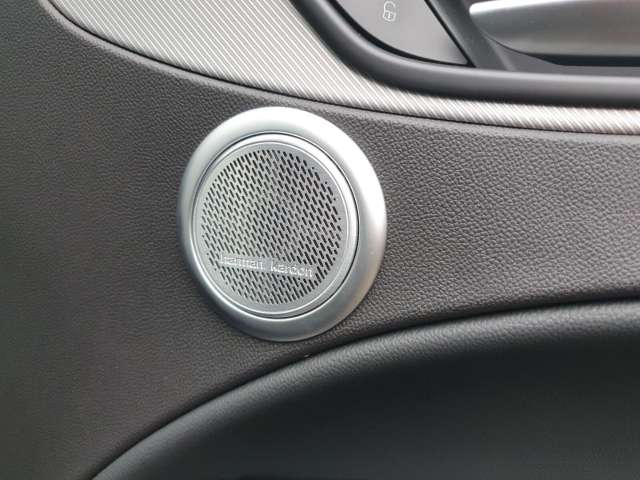 Fahrzeugbild eines Alfa Romeo Stelvio