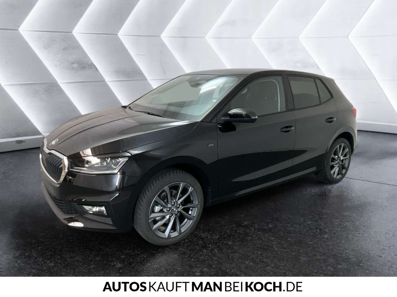 Fahrzeugbild eines Skoda Fabia