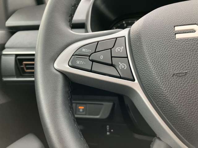 Fahrzeugbild eines Dacia Jogger