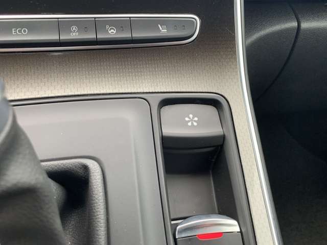 Fahrzeugbild eines Renault Grand Scénic